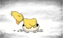 short film: Chicken Kiev